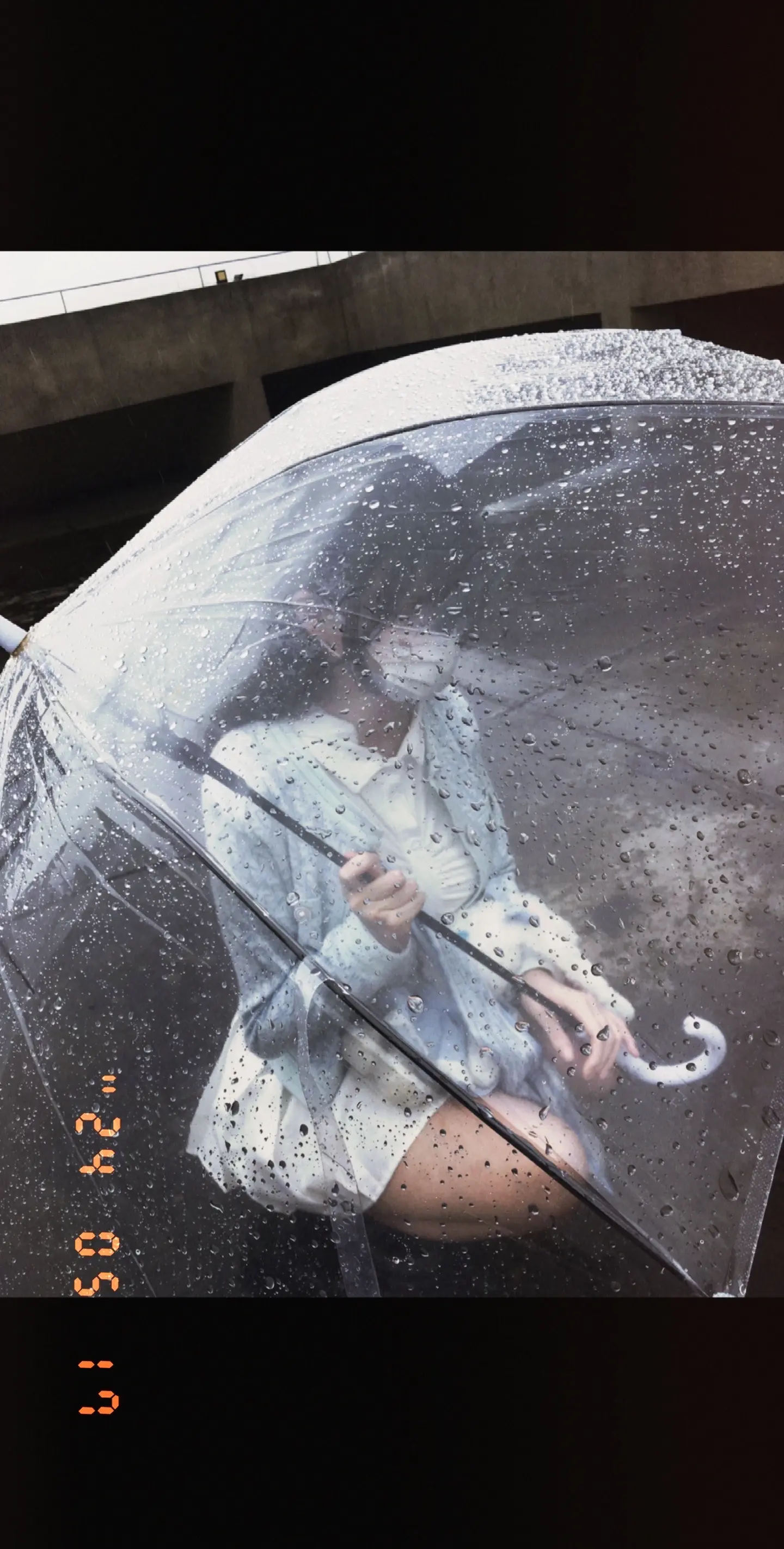 你的出现像光一样 涉悸于是枯木逢春