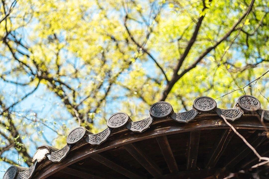雨落桥东，旧事缝成针·默斋主人原创散文——惠州老街行记下车恰逢一场太阳雨，细密如