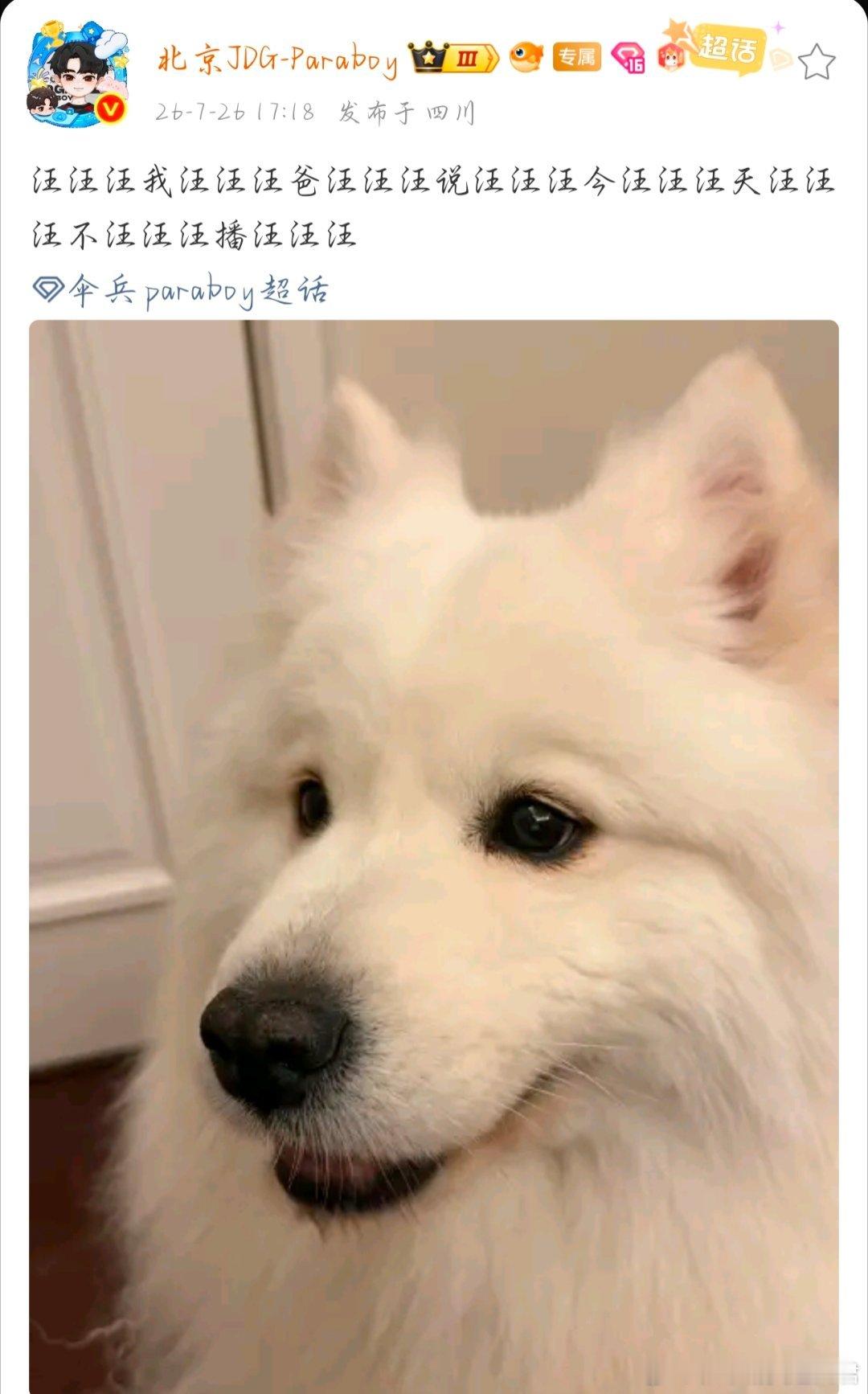 伞兵paraboy 汪汪汪汪汪收汪汪汪汪汪到汪汪汪汪汪2026pel夏季赛