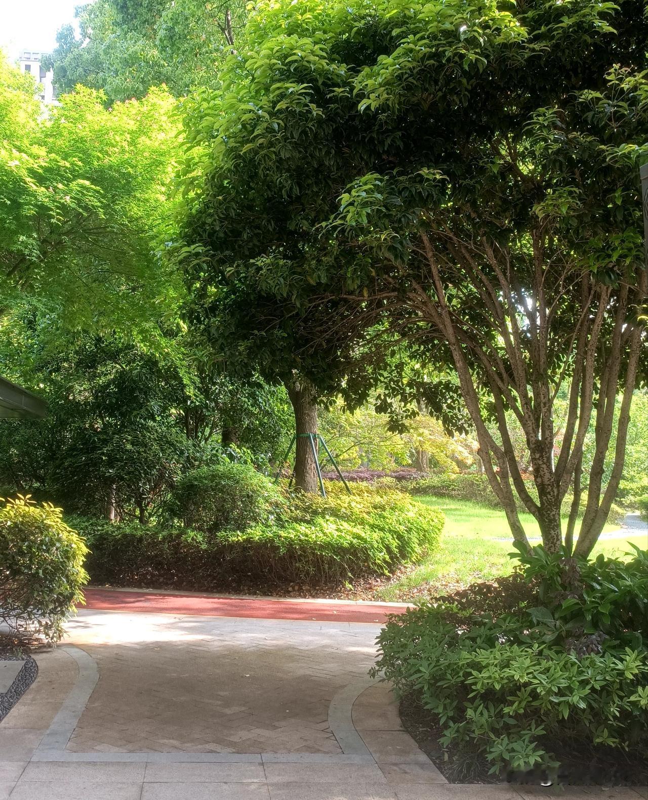 雨过天晴，开门见绿，生机盎然。