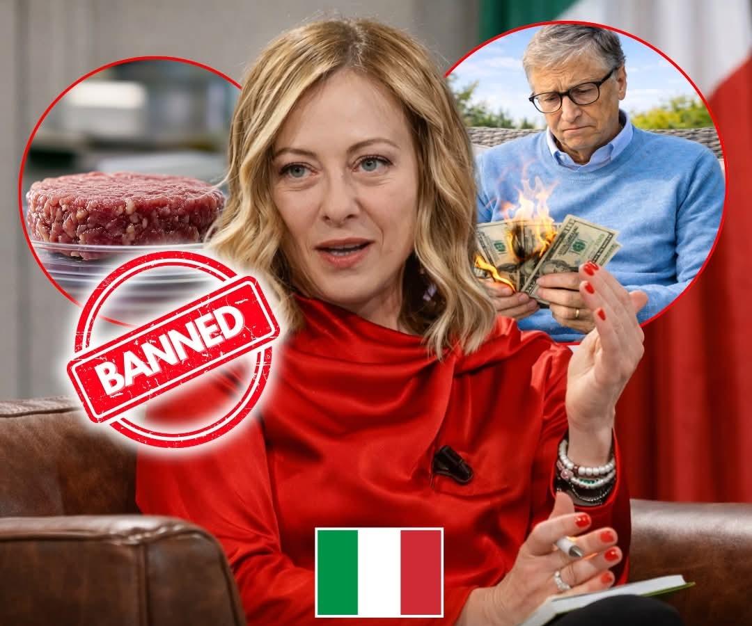 有消息称，意大利宣布禁止培育（实验室培养）肉类生产后，比尔·盖茨及其关联的人造肉