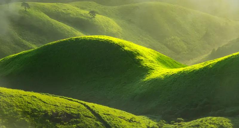 看到“山上芳草绿”这个上联，我来了兴致。上联描绘出山上芳草葱茏、绿意盎然的春日景