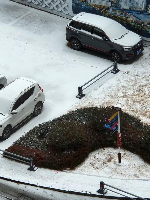 下雪的好处与坏处知多少
                    微头条
    