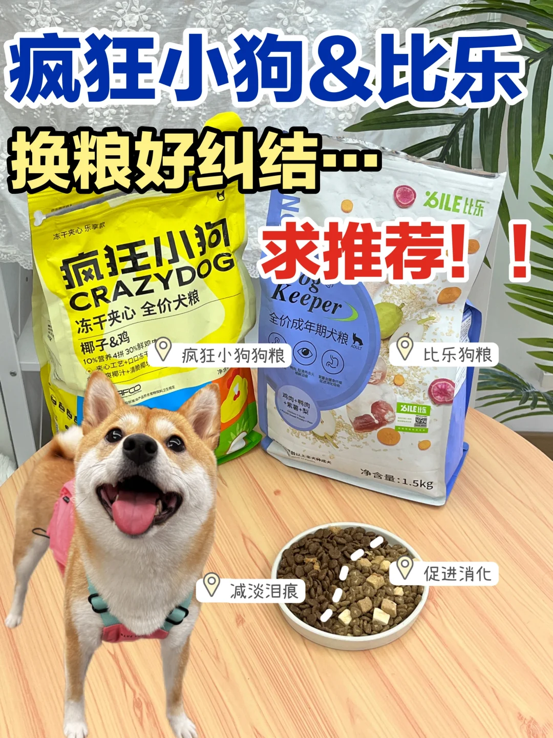 换狗粮好纠结…家人们帮我选选