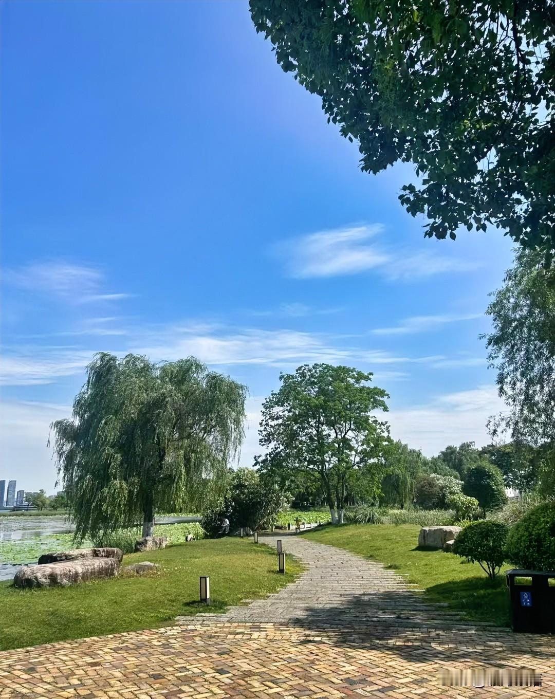一位修行的93岁长者说：
每天早晨醒来，先别急着下床，在心里默念一句“我很好”。