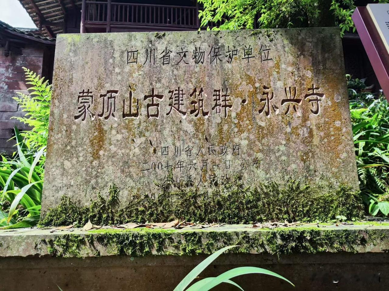 “扬子江心水，蒙顶山上茶”中国茶文化发源地四川雅安名山蒙顶山采茶、踏青、洗肺、眺