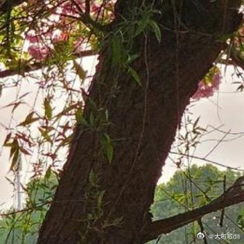 你在江边看风景，看风景的人在看你 