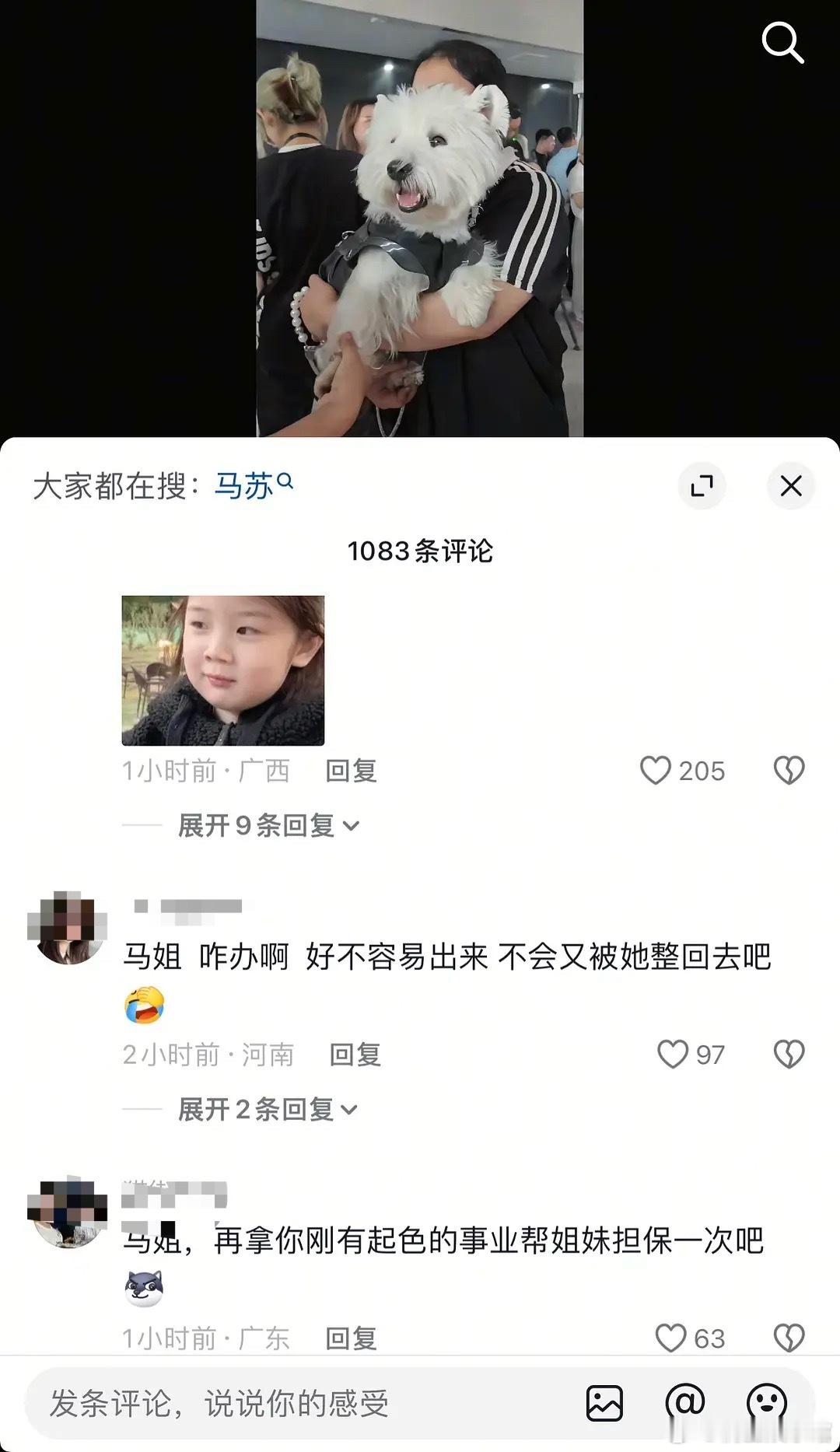 马苏真的好惨，李小璐采访完了之后，评论区又被冲了