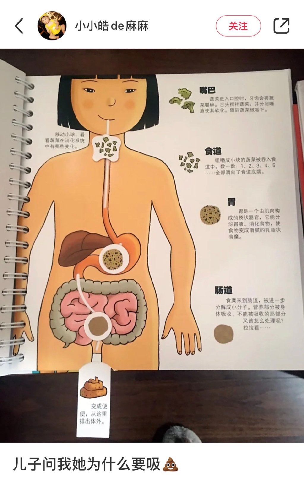 和孩子一起读身体结构图画书时: ​​​