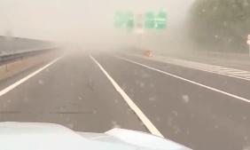 “杨絮暴风雪”刷屏全网

当年引种错误，为什么就不能砍？难道要用人民身体健康为代