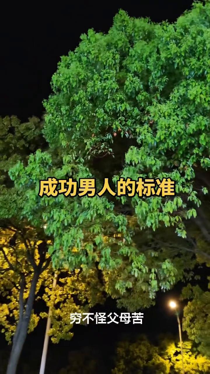 成功男人的标准。
什么是真男人？闷声做事，把人脉搞的四通八达，目标清晰，做事杀伐