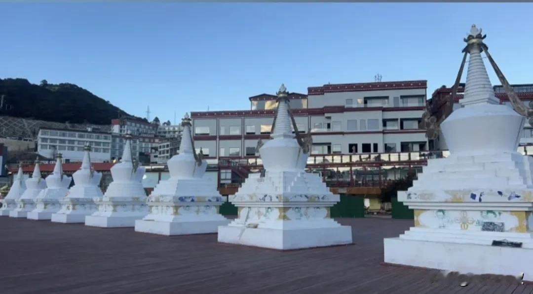 活着活着，你就会知道，天大的事，只要顺其自然，也不过如此；再小的事，倘若斤斤计较