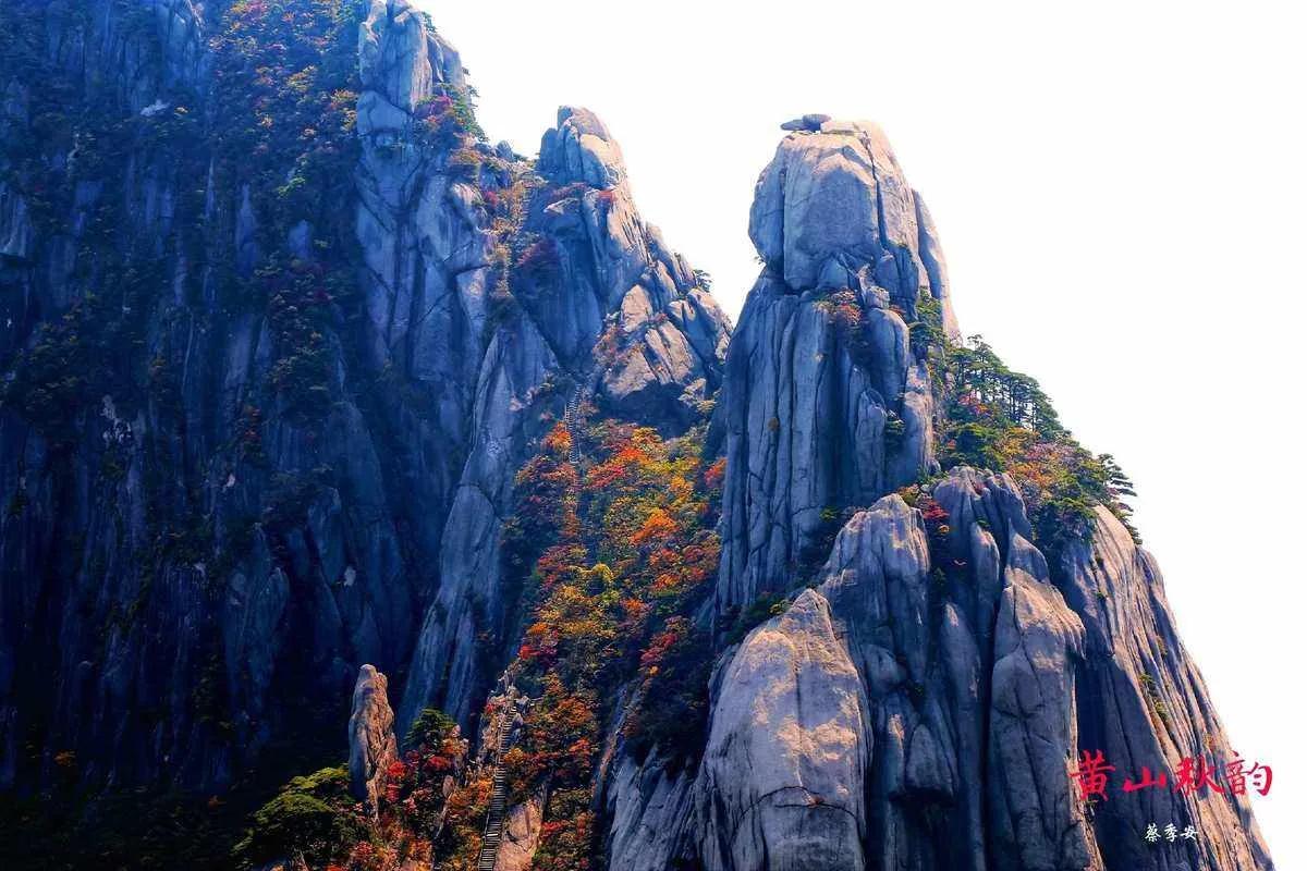 黄山秒杀三清山（五）

其实本不应该再说了
有网友说：瞅他一点你就输了
有网友说