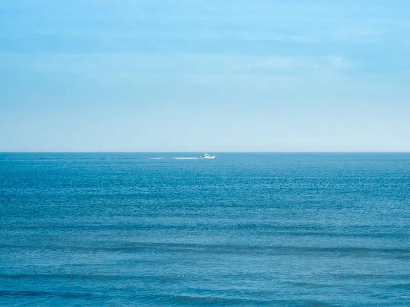 【鱼不能搅浑大海，雾不能倾覆高山】
        “鱼不能搅浑大海，雾不能倾覆