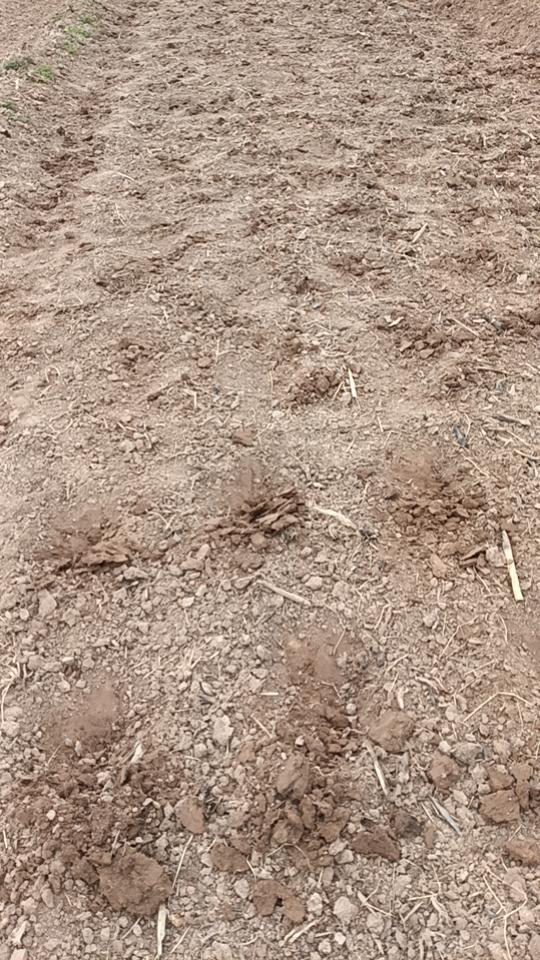 实践共建共享的农技服务
乡村种植管理技术最重要，尤其是春季三月底四月初。实践共建