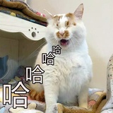 枣辰说说