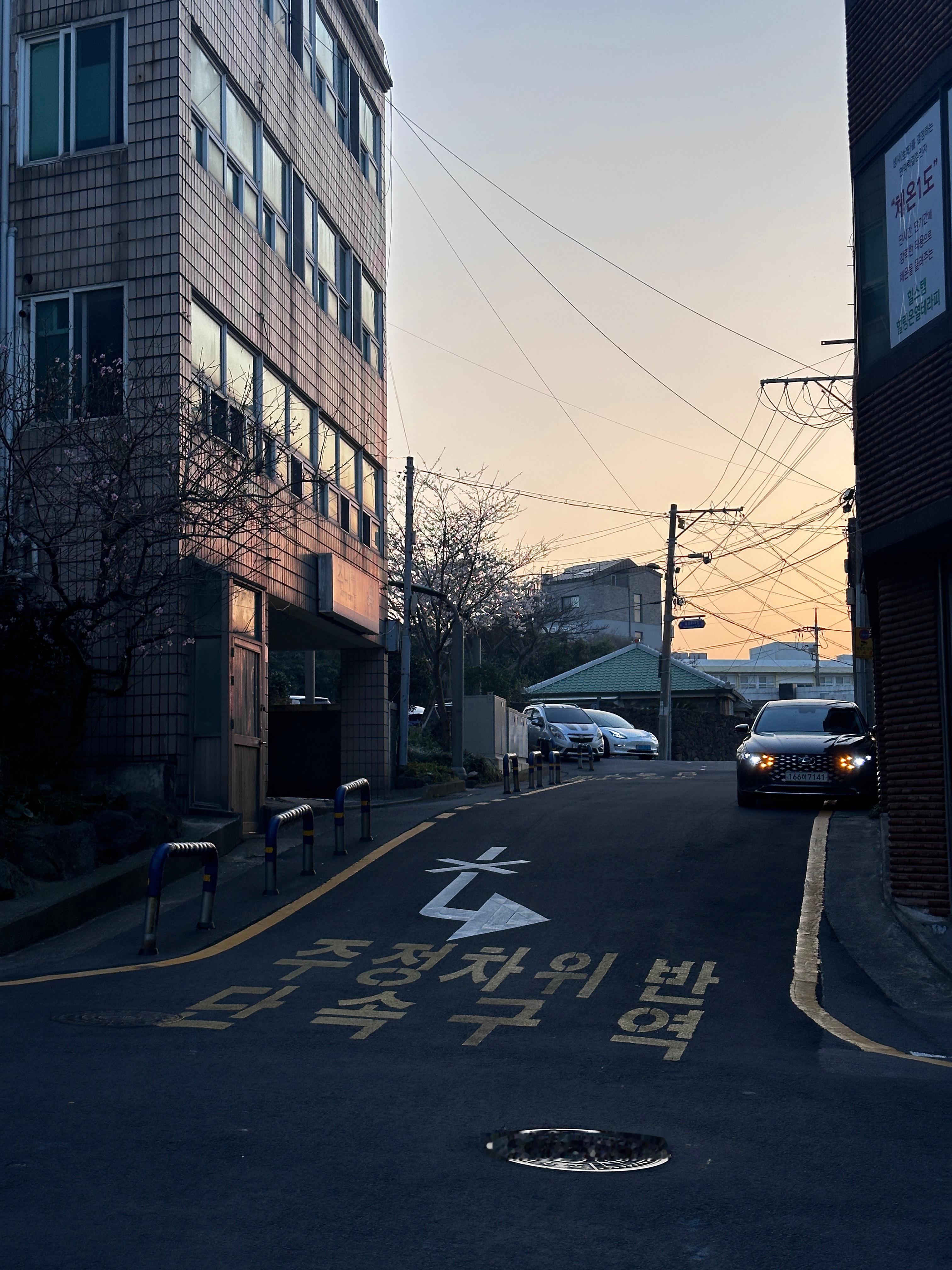 感觉在jeju的照片还能发好几条动态（五一愉快～🪁 ​​​