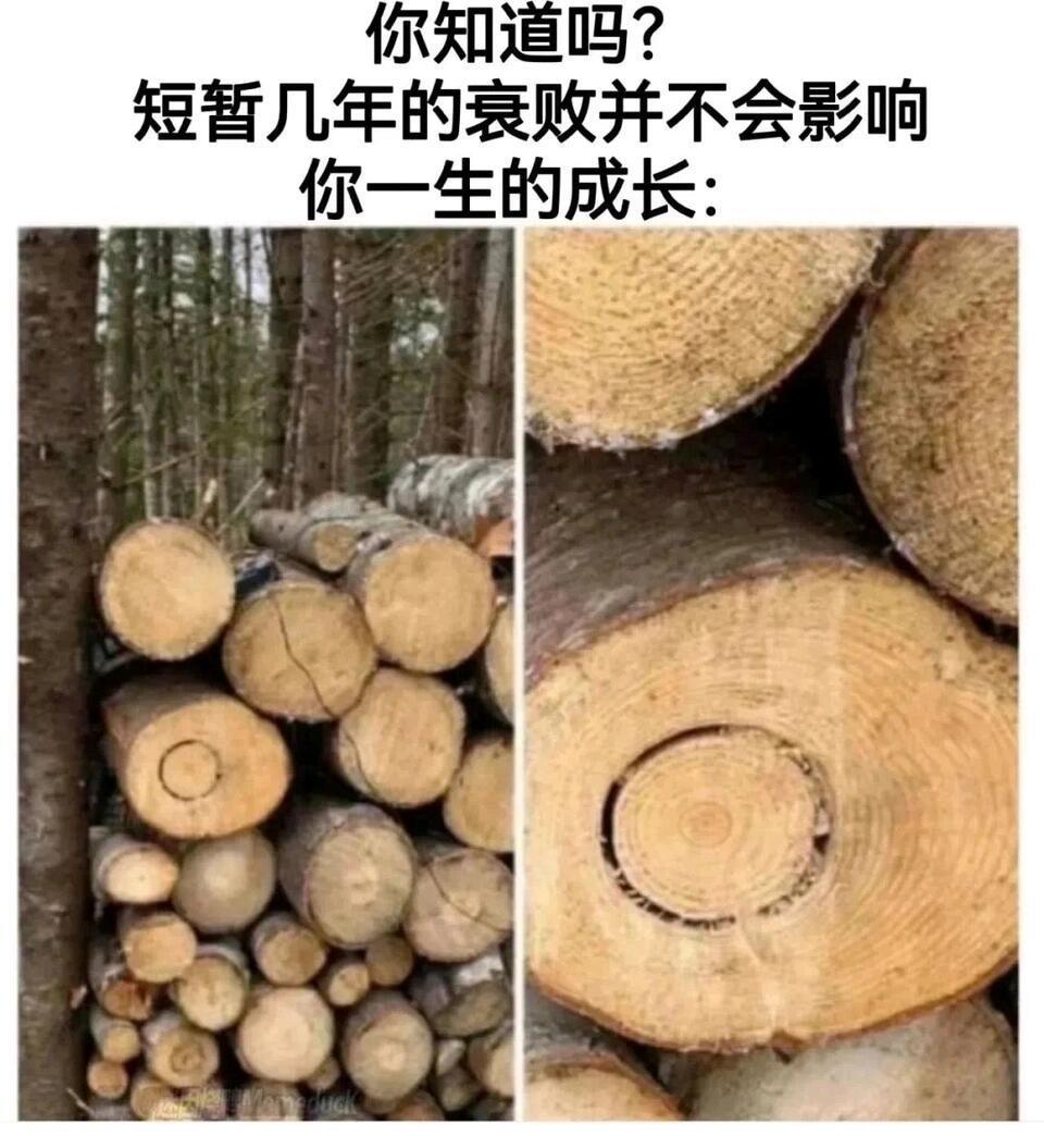 突然一点也不焦虑了突然一点也不焦虑了 ​​​