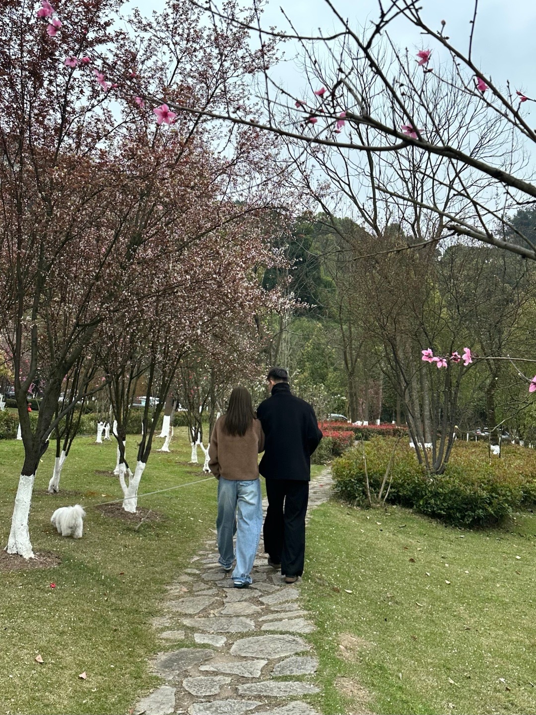 春天花会开～～🎵 