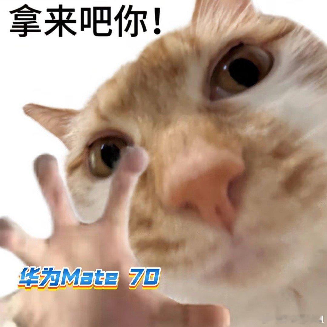 太好了是华为Mate 70系列本剧粉有救了！最近刚好在在追紫妹的国色芳华，看到紫