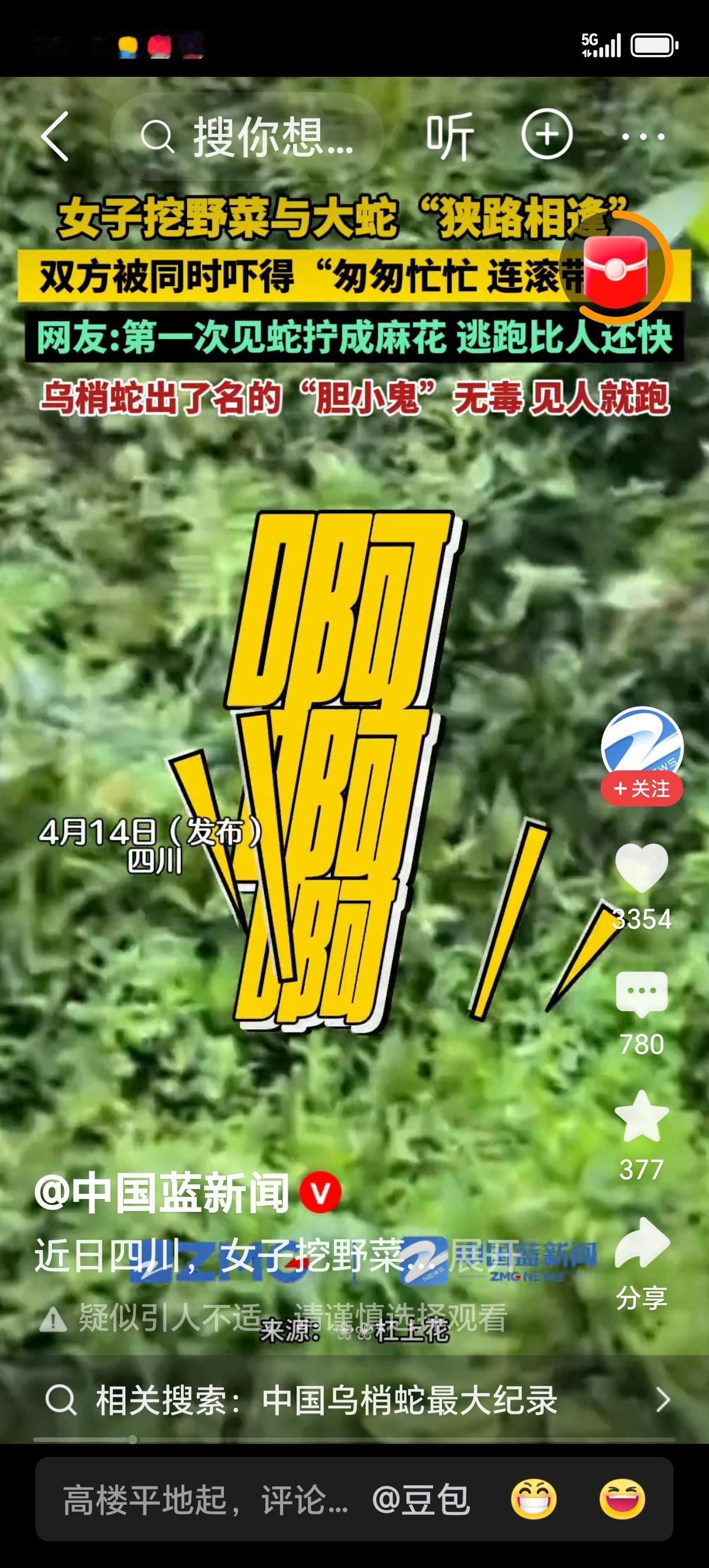 女子挖野菜挖到大蛇，双方都吓坏了：这才是普通人最真实的反应，笑喷又暖心！
 
春