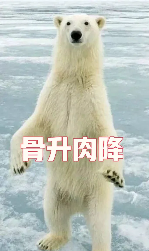 无极骨盆筋骨之道：骨升肉降