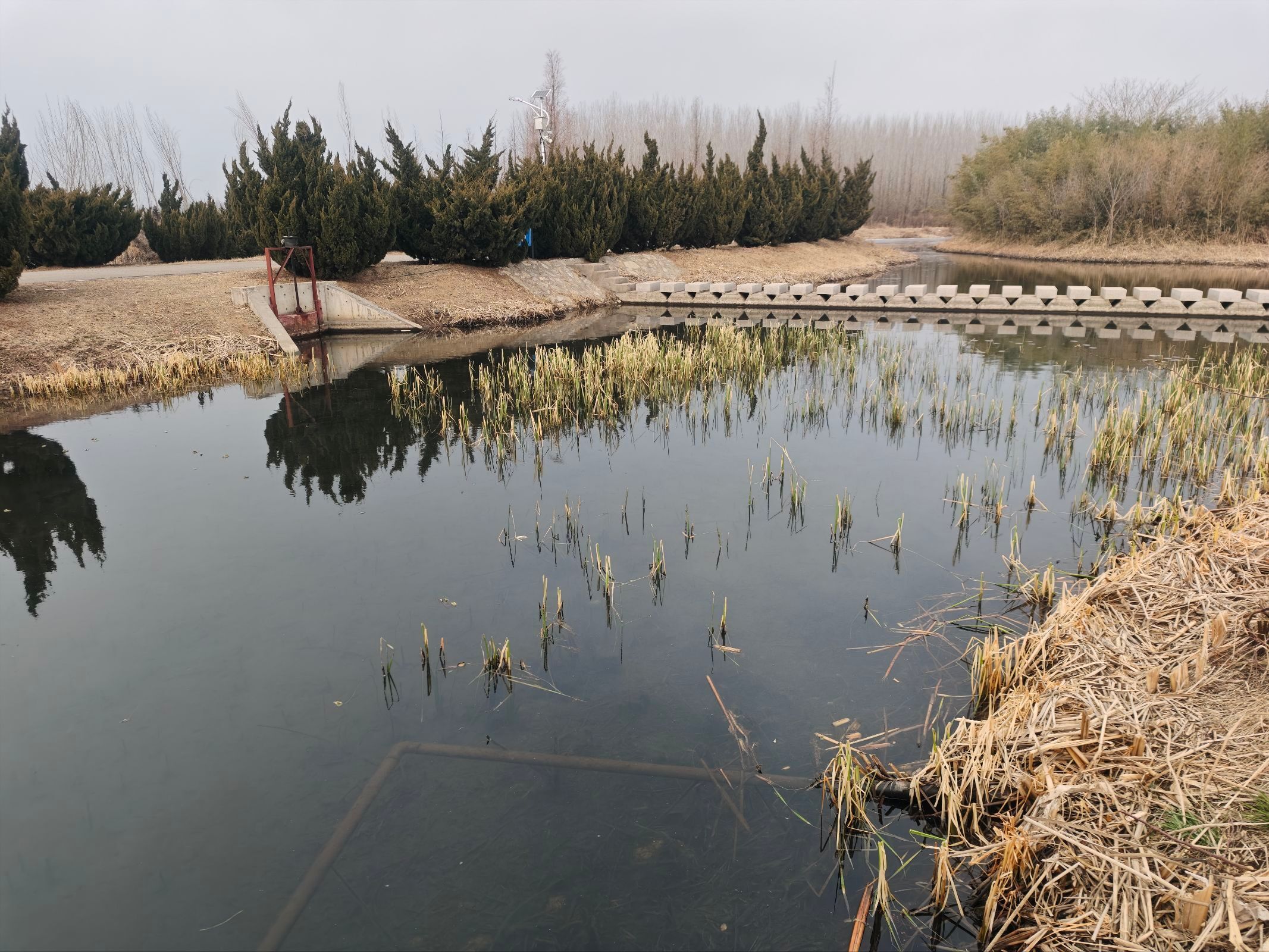 【沂河湿地生态旅游产业绿色转型社会实践报告】社会实践曲阜师范大学感悟中的三下乡 