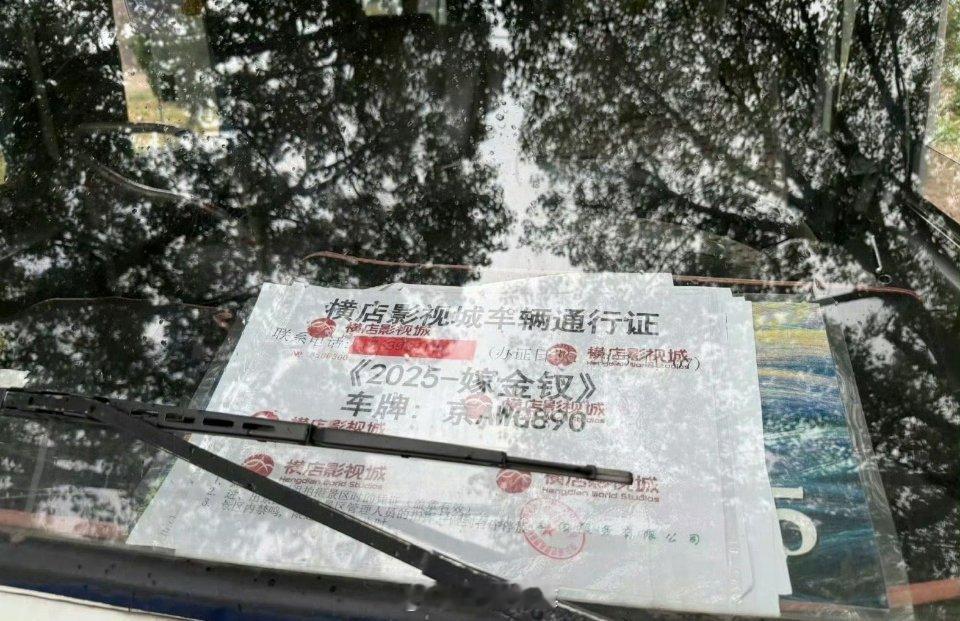 田曦薇 闫桉《嫁金钗》车辆通行证已🈶 