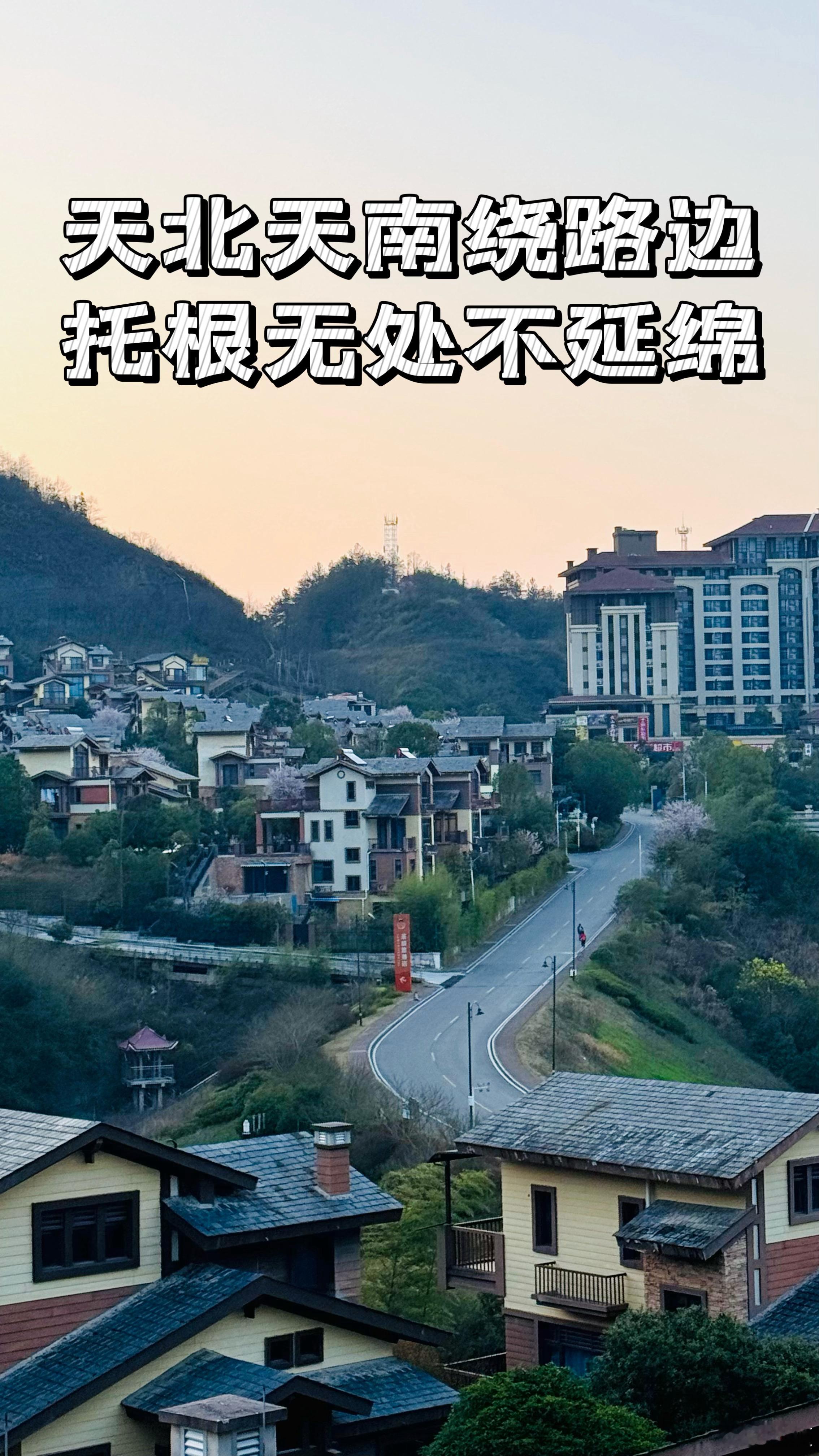 2025年3月20日，晴。昨晚不到9点半睡的，一觉醒来是4点，起床写完作文还不到