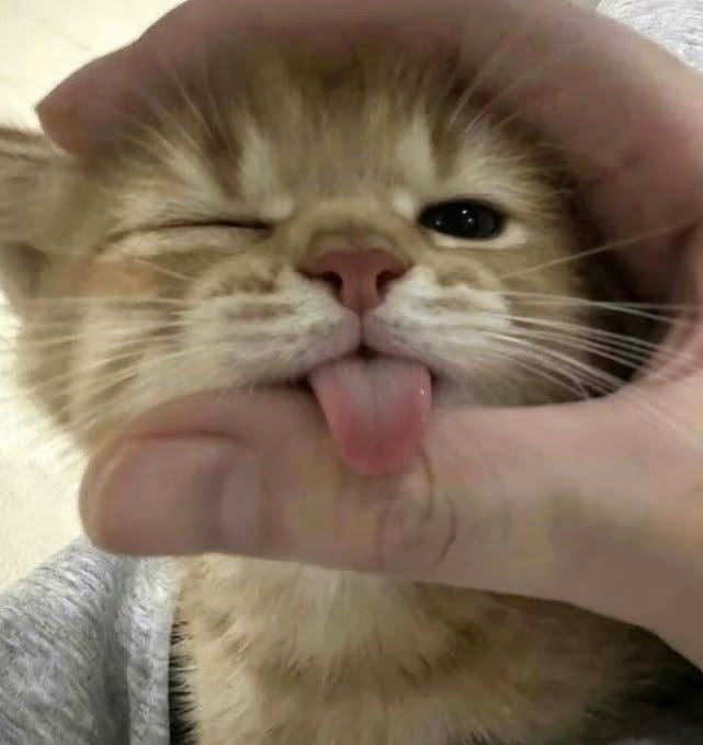 ⠀ 