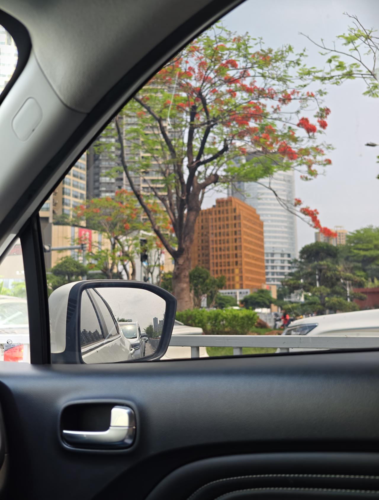 今年春天最想实现的心愿外面的世界很精彩