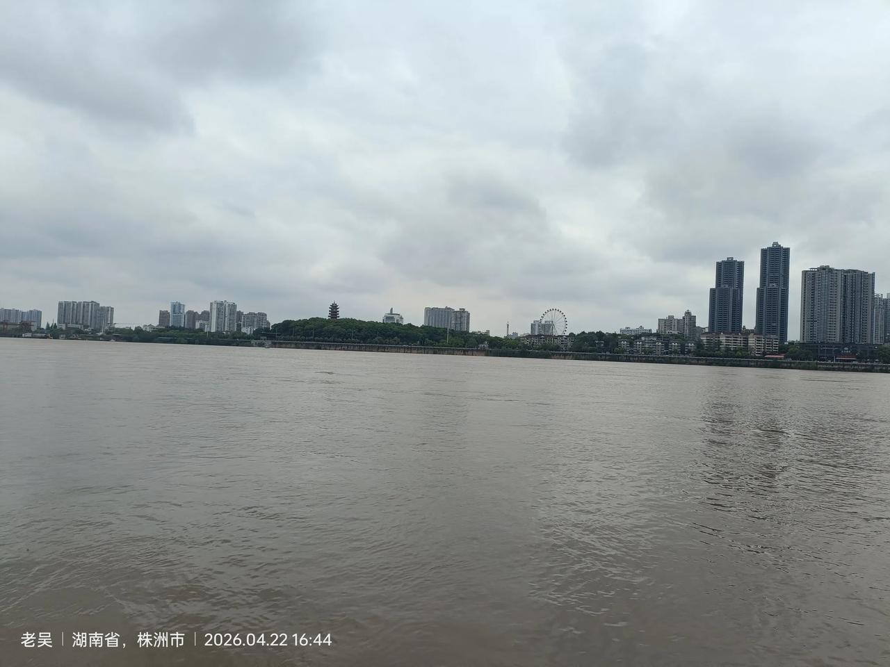 每日一图随手拍洪水过株洲.湘江变黄河