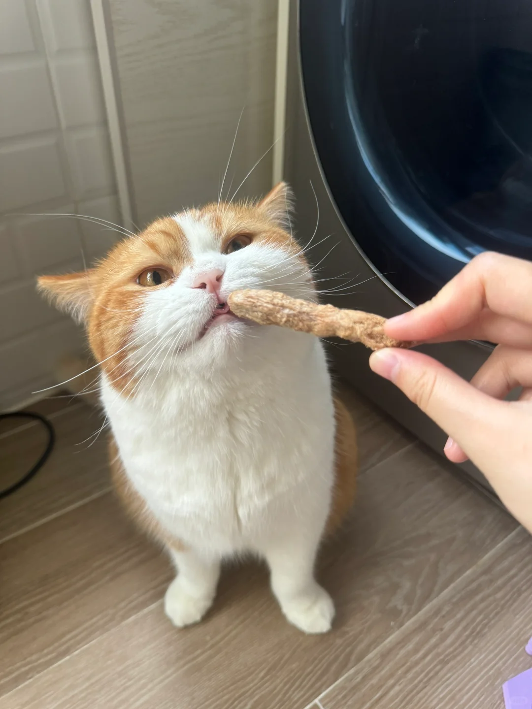 小朋友要多磨牙