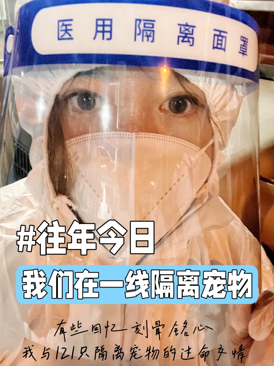 往年今日｜我与121只隔离宠物的过命交情