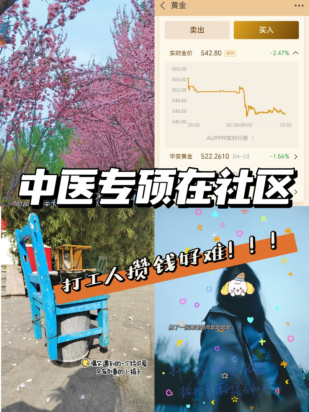 真后悔没有本科毕业就去社区呀