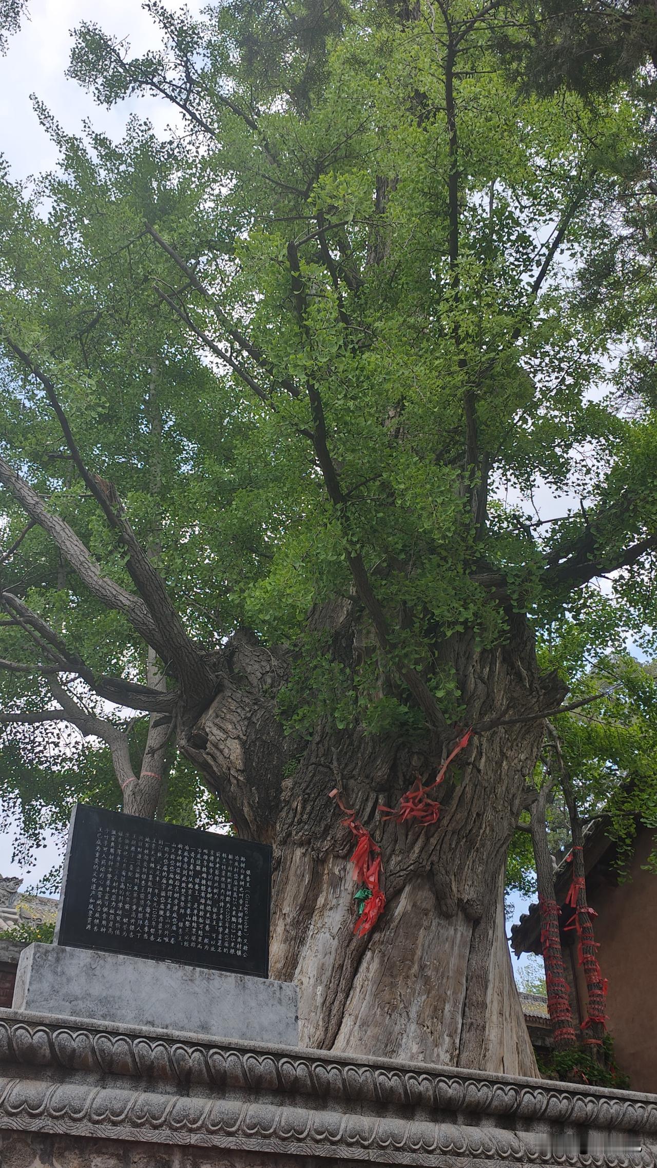 山西晋城市泽州冶底岱庙坐落于泽州县冶底村，是全国除泰山外仅存的岱庙，2001年列