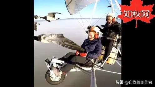 雁群北飞排ETC阵型，春日偶遇撞出趣味新梗。2026年3月13日下午，大象新闻发