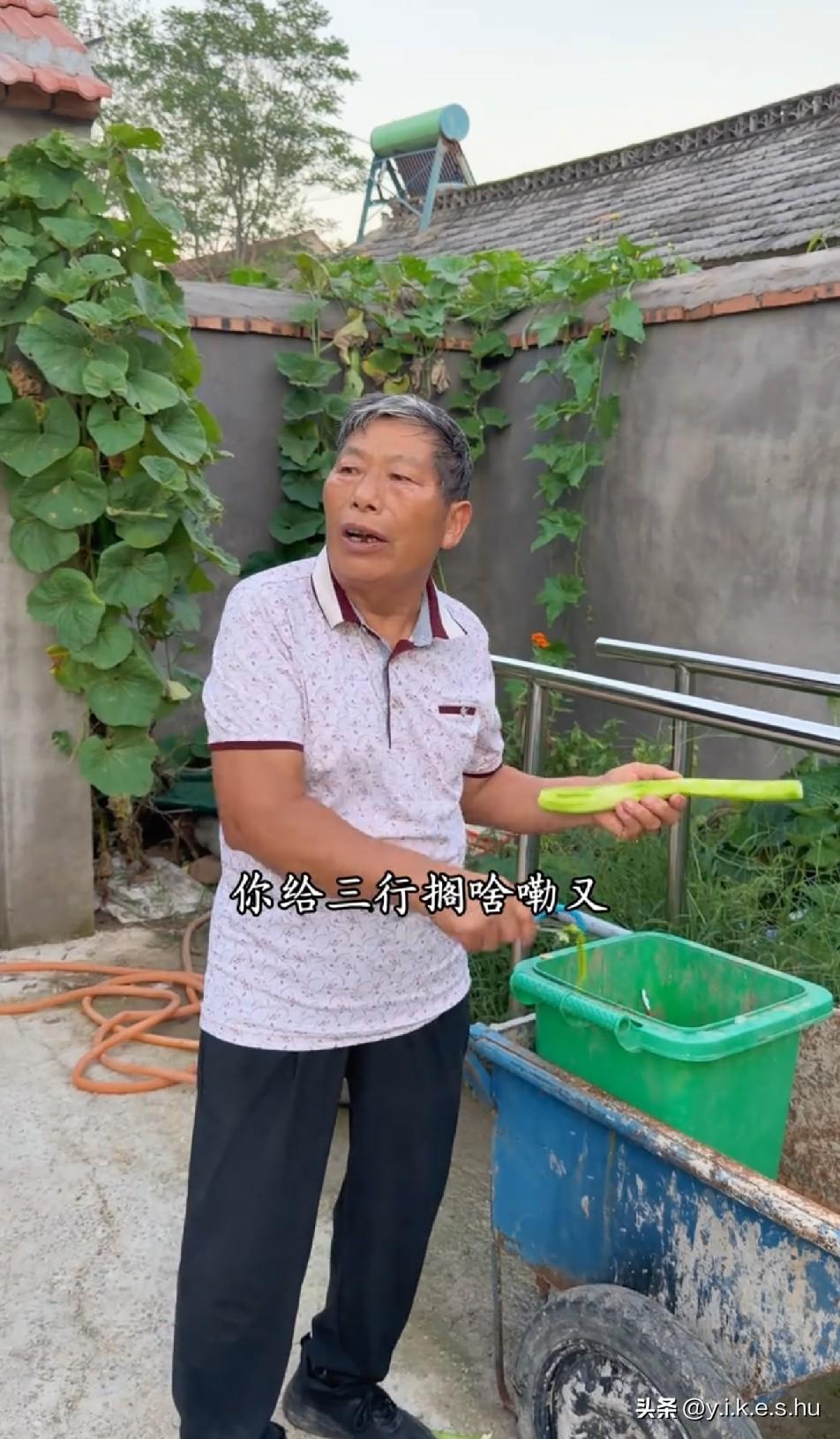 妮娃打三行了，三行委屈的哭了，但是妮娃没有错，错的是树兰，只知道教育妮娃，却不能