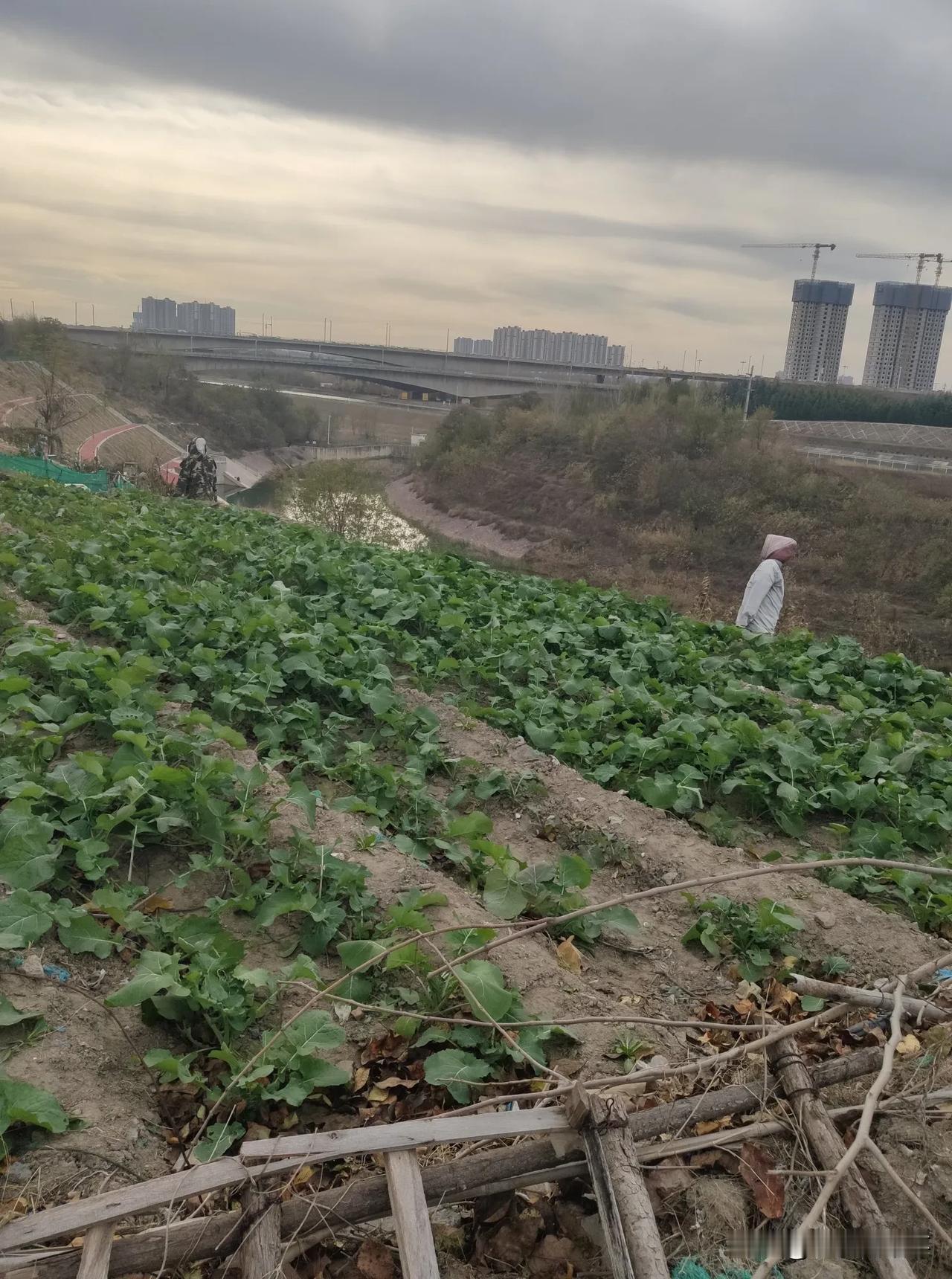 今天上午在郑州市西流湖公园里遛弯，前方四五米距离，一个看上去五十多岁，穿着黑呢子