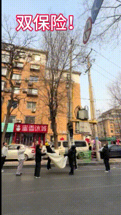 双保险太厉害了……这是一个温暖的世界！


这只猫够淘气的，怎么爬那么高？
太危