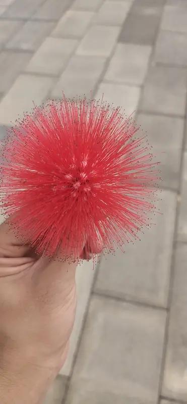 生活中藏着好多鲜为人知的事。就比如没有一张纸能对折超过9次，不信你可以拿张纸试试