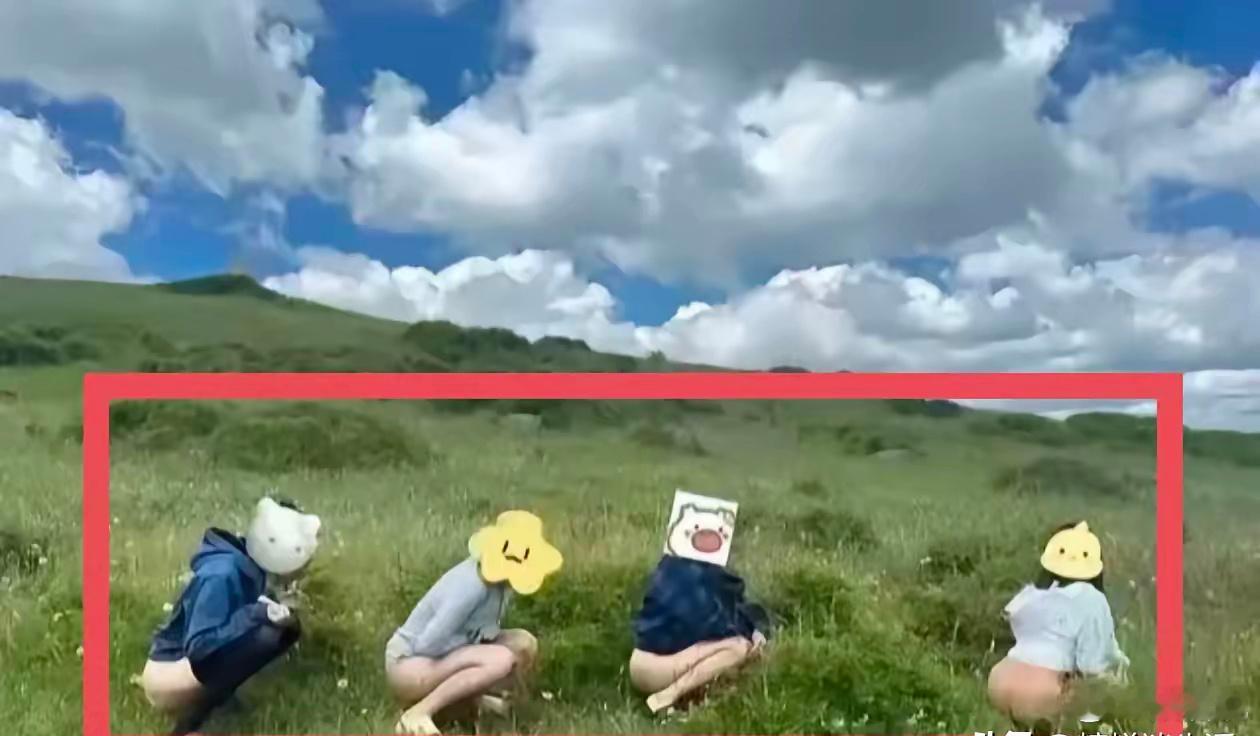 你们有没有遇到过那种自驾游变“堵心游”的绝望时刻？😱 明明计划得好好的，一路欢