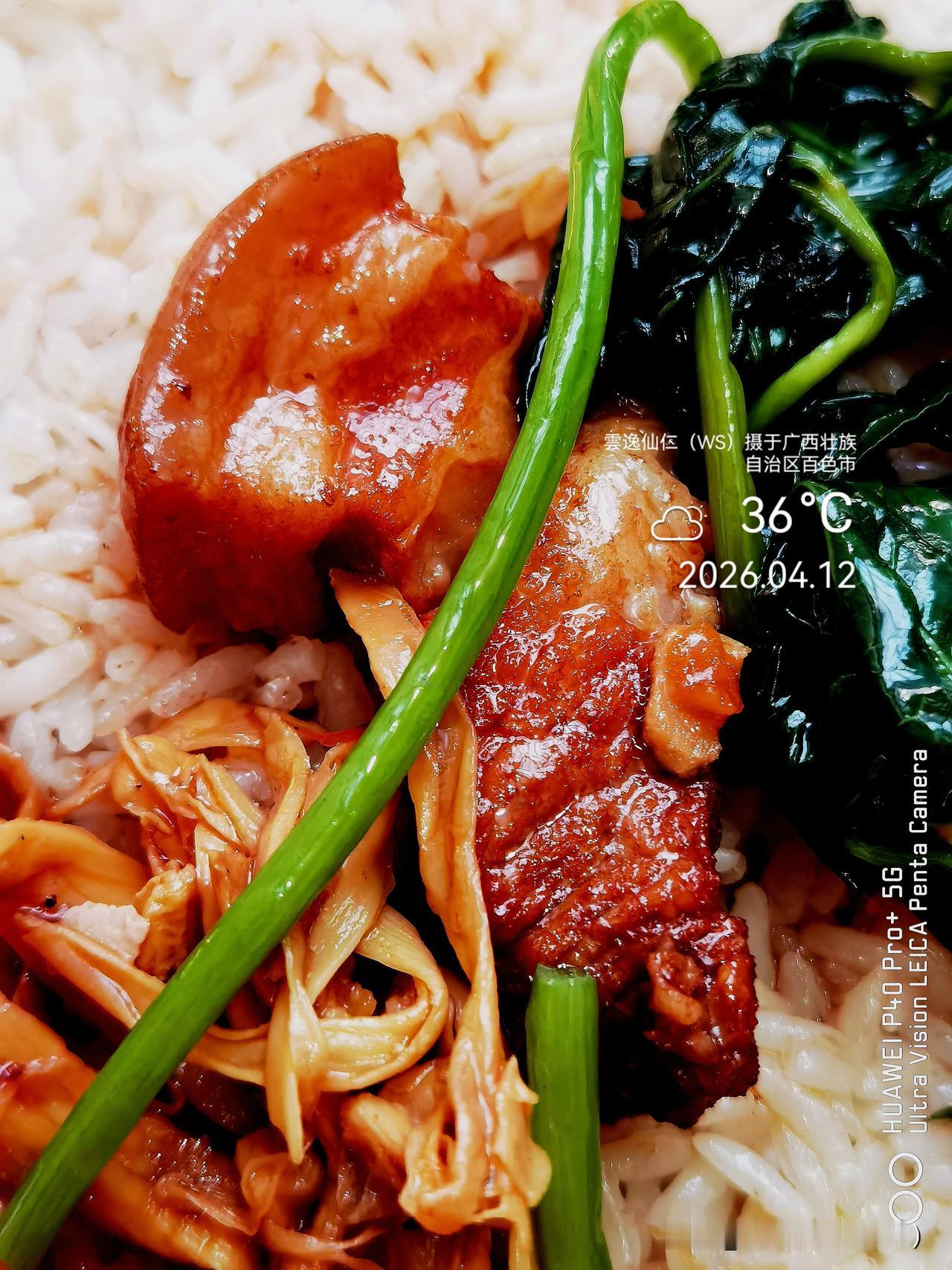 旅居生活记录（9490）广西壮族自治区百色市（175）品尝小吃47：笋焖红烧肉+