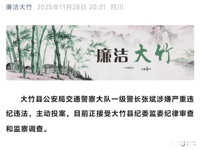 四川58岁的张斌上了热搜，
他是1967年出生的四川大竹人，
他在大竹县工作多年