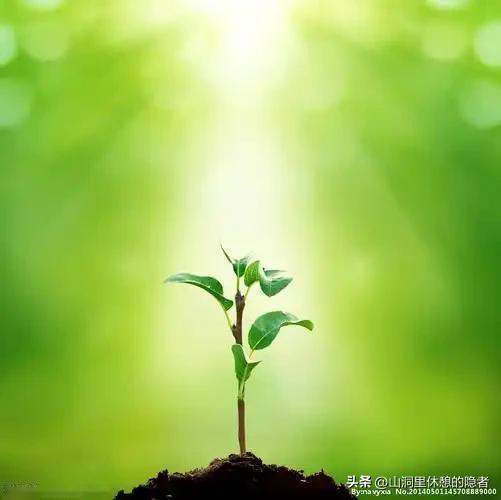 毕业多年后再见老师是什么感觉


毕业多年，再见老师的那一刻，我差点哭了
你有没