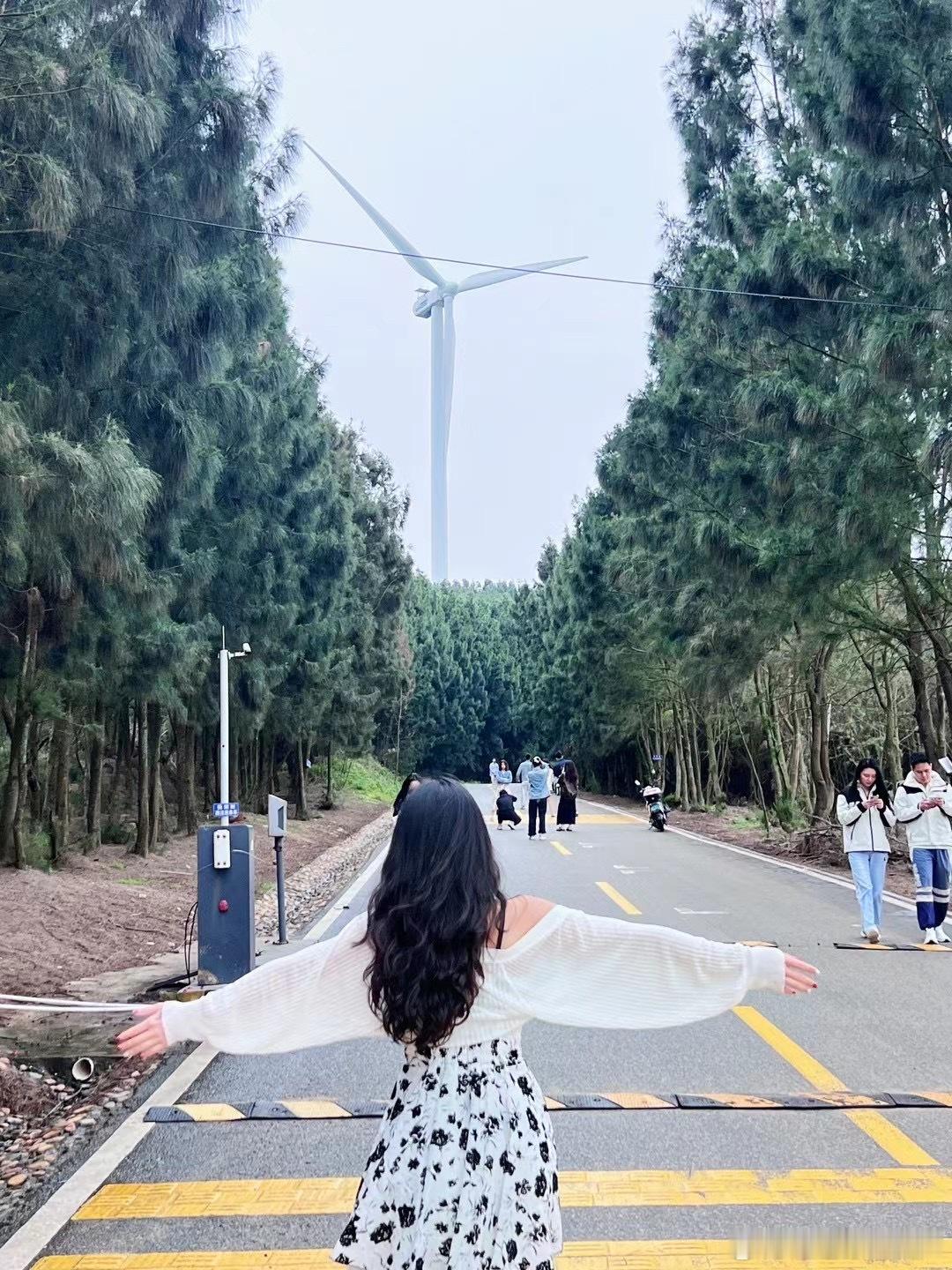 并非所有事情都能如愿以偿，但所有事情都值得一试。早安 ​​​