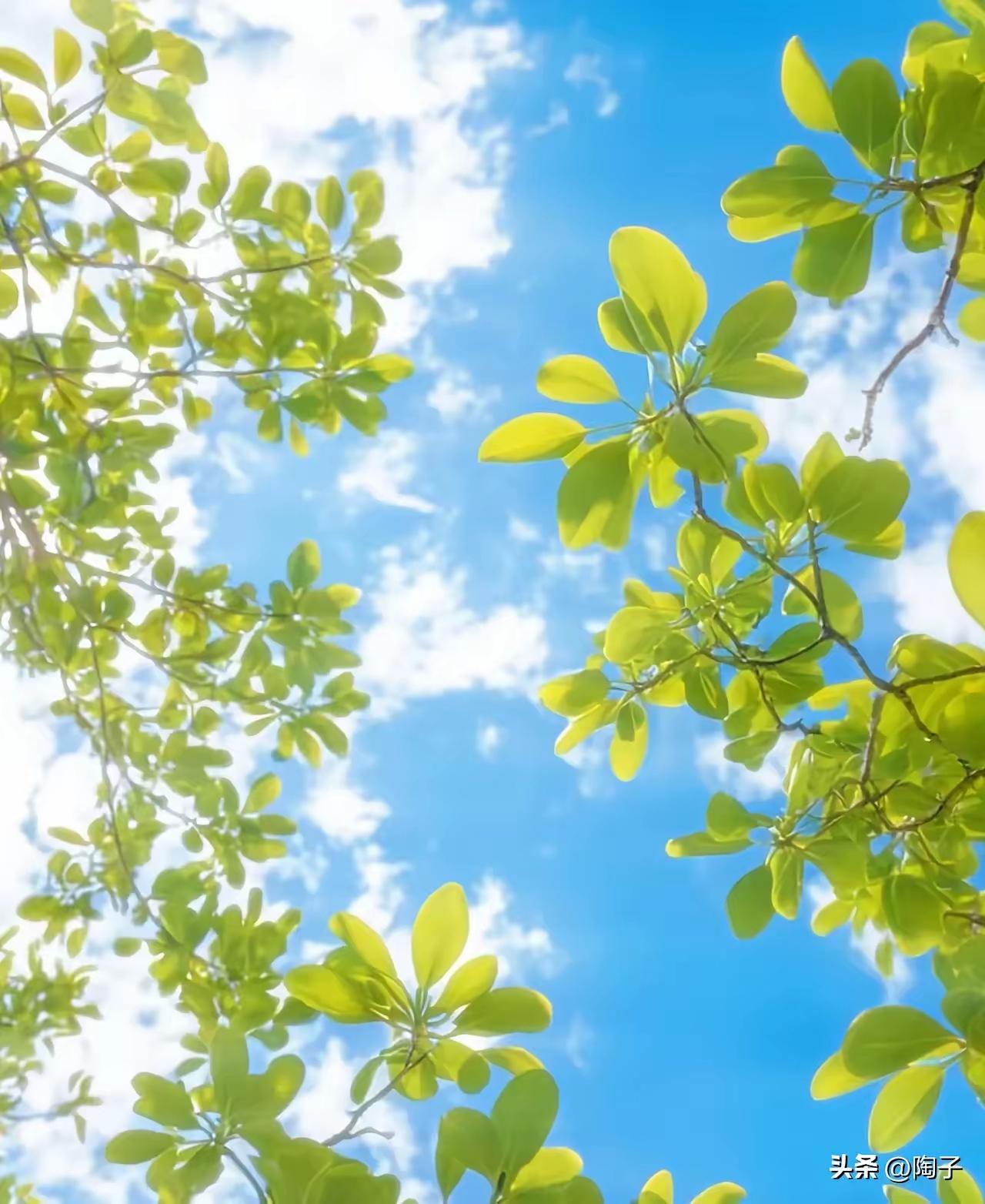 为什么越来越多人不想上班？真不是变懒了，是真的看透了。
 
现在很多人上班，早已