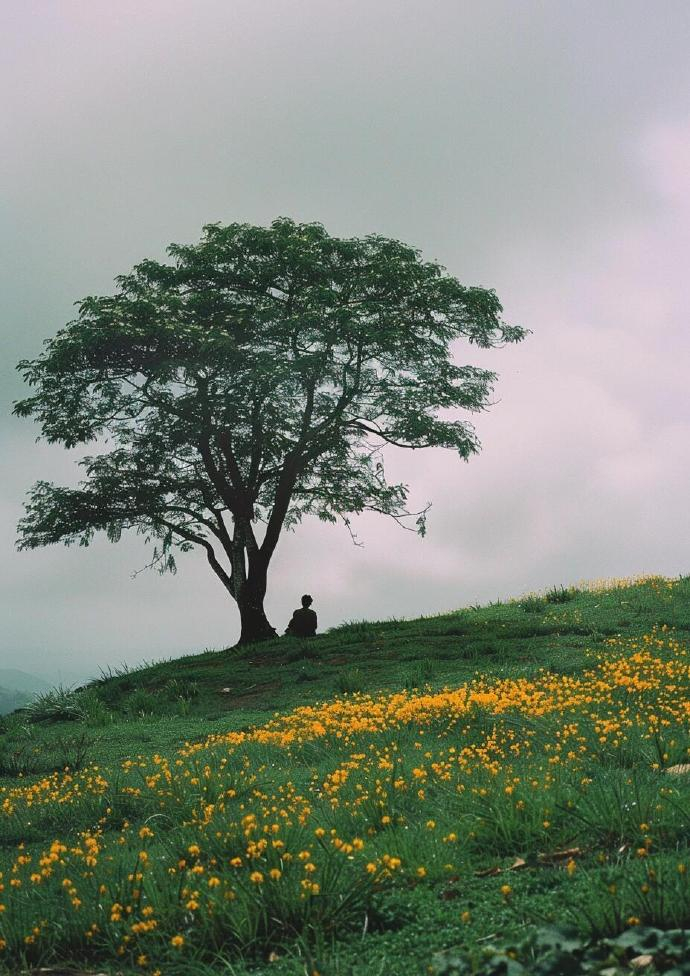 静待花开 ​​​