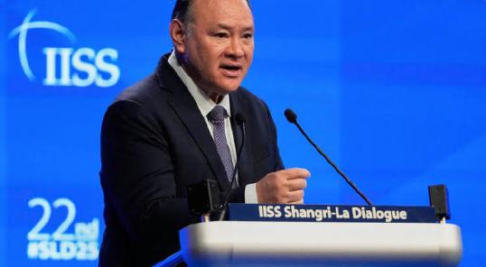 被中国制裁的菲律宾国防部长非但没有半点收敛，反而变本加厉！近日，特奥多罗再次就南