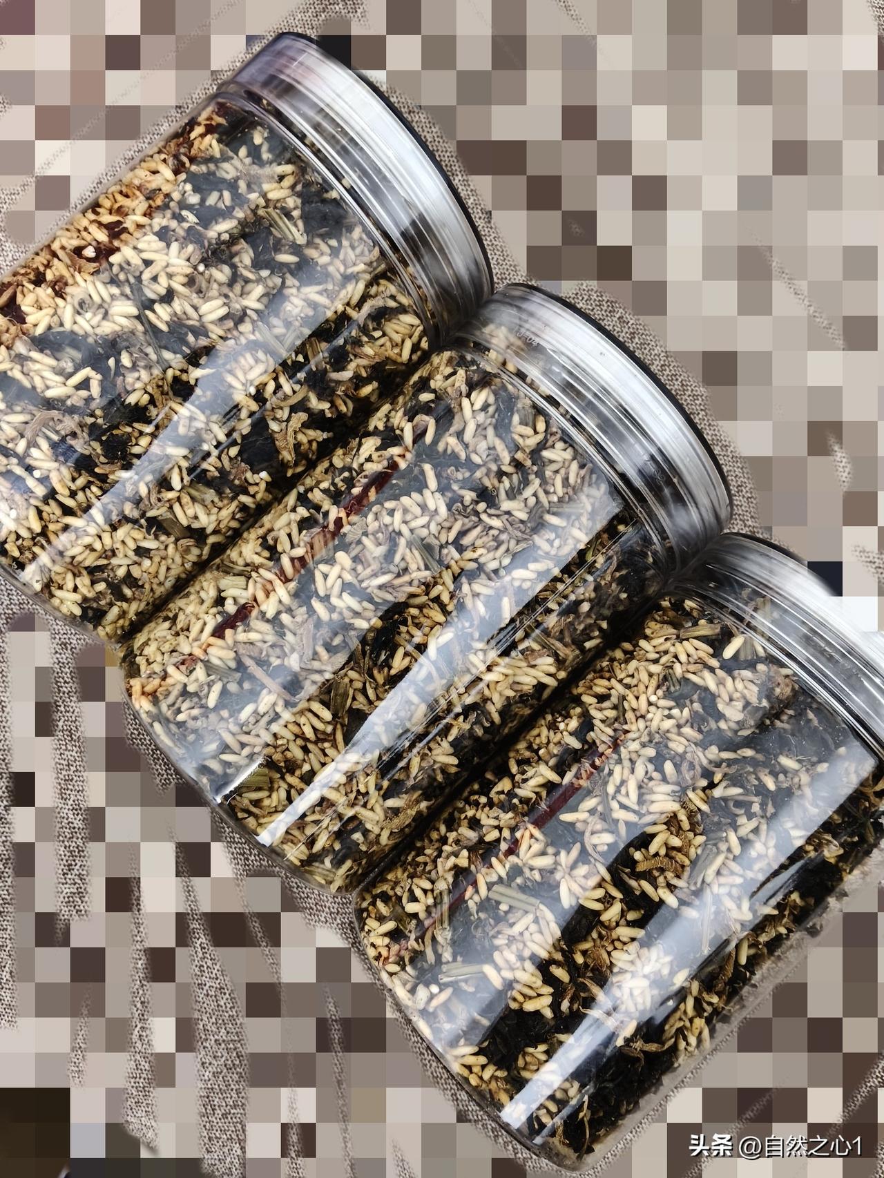 新炒的姜米紫苏茶，
卖出去不到10单，就爆雷了！[捂脸]

一位客户要给差评，说